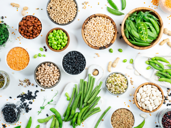 Agricultural Micronutrients Market Size and Share Report 2024-2032