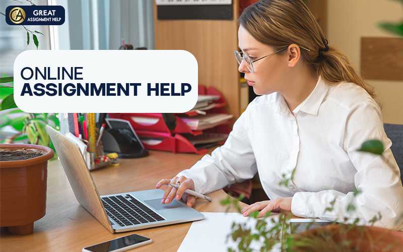 Assignment Help Services