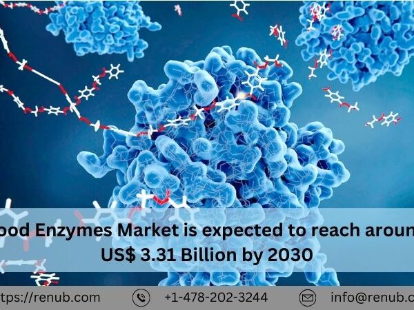 Food Enzymes Market Size and Share Report 2024-2032