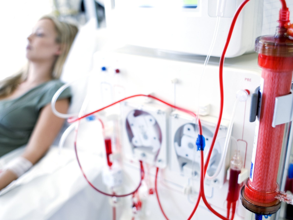 Global Dialysis Market Size and Share Report 2024-2032