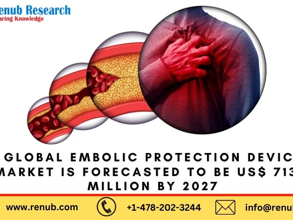 Embolic Protection Device Market Size and Share Report 2024-2032