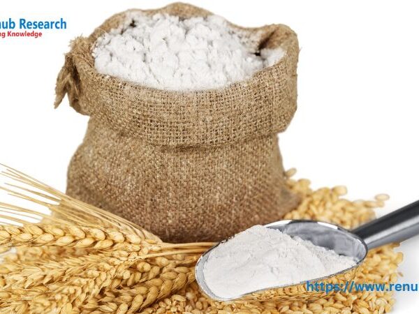 Global Flour Market Size and Share Report 2024-2032