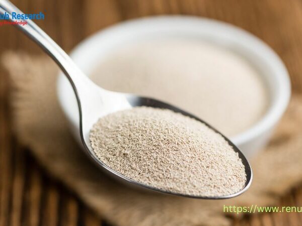 Global Yeast Market Size and Share Report 2024-2032