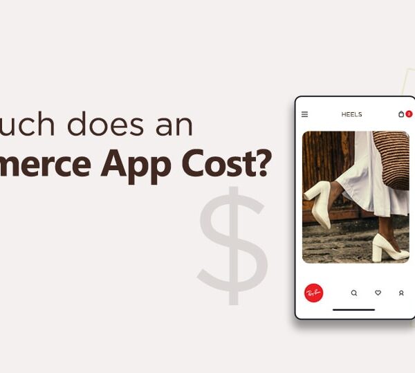 How to Minimize Ecommerce App Development Costs Without Compromising Quality