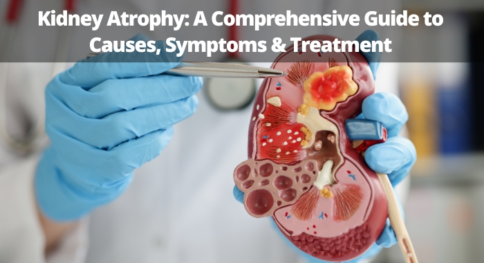 Kidney Atrophy: A Comprehensive Guide to Causes, Symptoms & Treatment