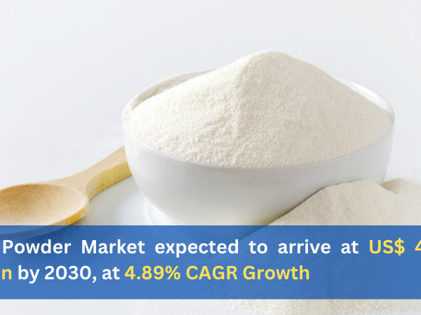 Milk Powder Market Size and Share Report 2024-2032