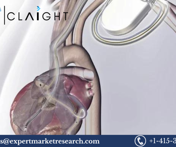 Smart Implantable Pumps Market