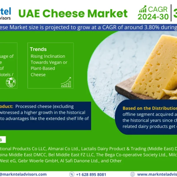 UAE Cheese Market