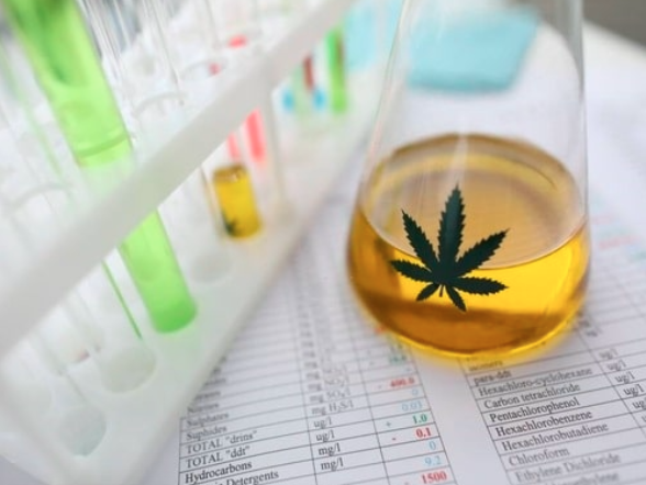 CBD and Probation: What to Expect During Drug Tests