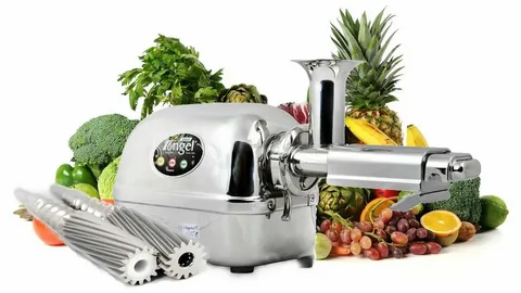 angel juicer Ag 8500s