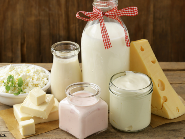 Organic Dairy Market Size and Share Report 2024-2032