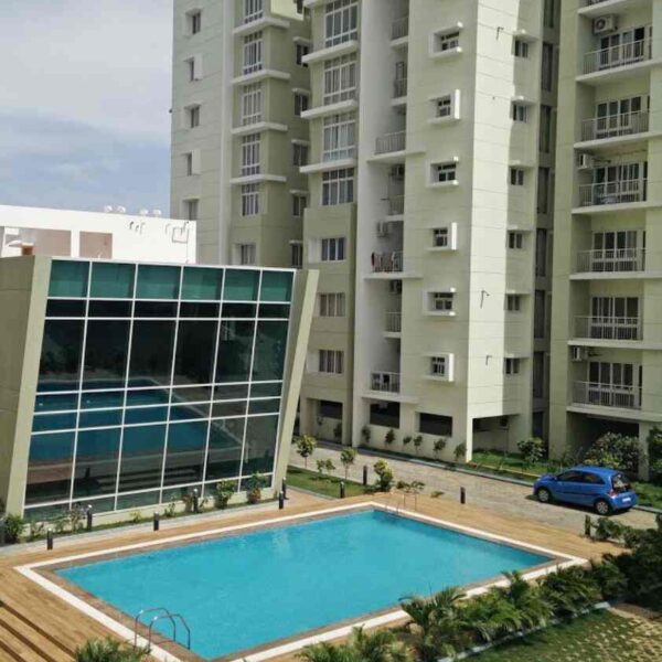 tulip apartment gurgaon tulip monsella sector 53 gurgaon tulip monsella luxury residences tulip monsella sector 53 tulip monsella 5 bhk