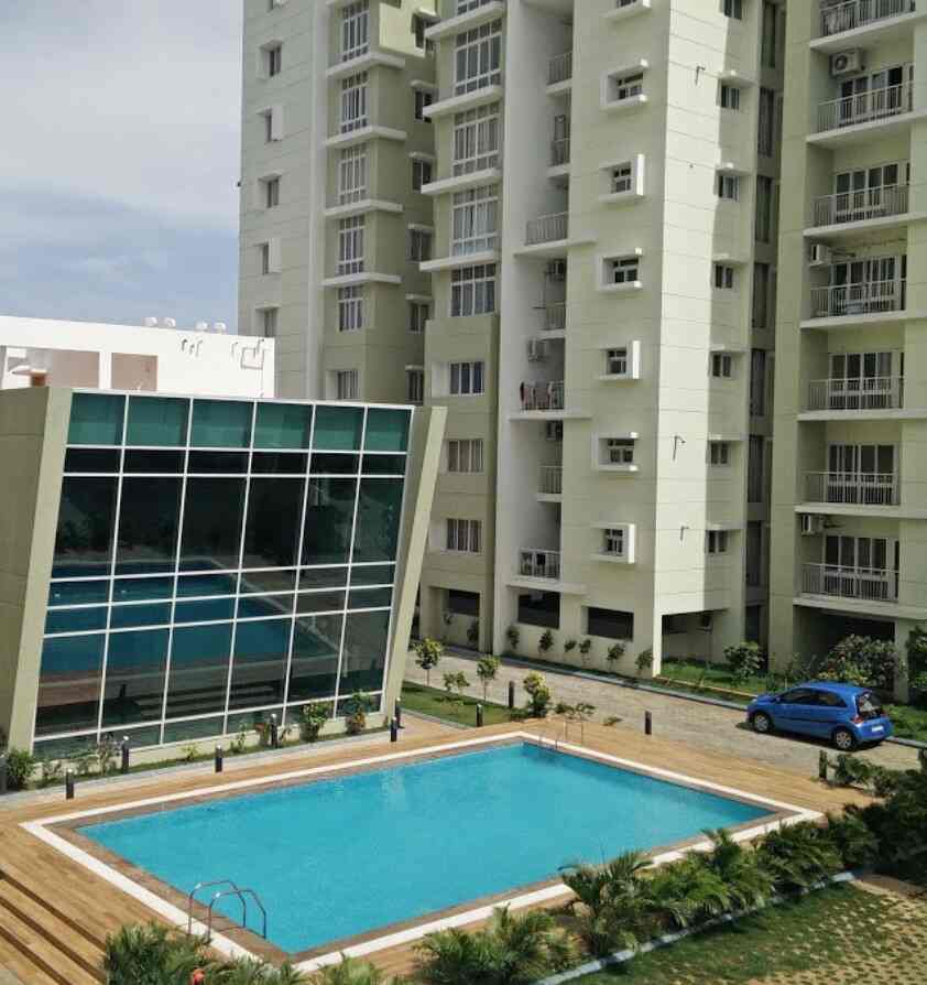 tulip apartment gurgaon tulip monsella sector 53 gurgaon tulip monsella luxury residences tulip monsella sector 53 tulip monsella 5 bhk