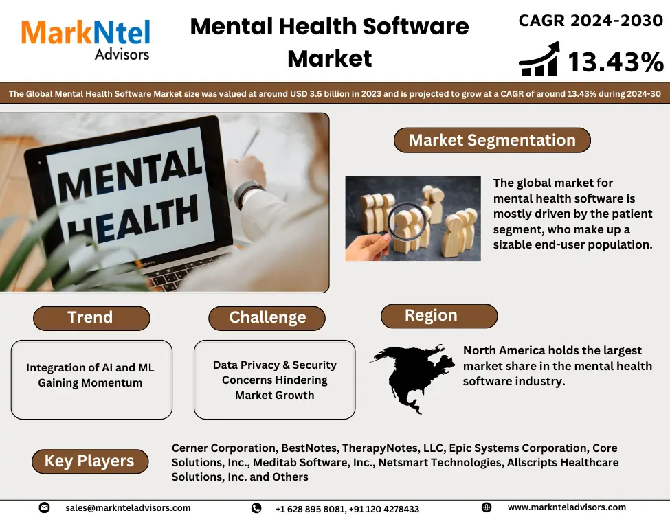 Mental Health Software Market