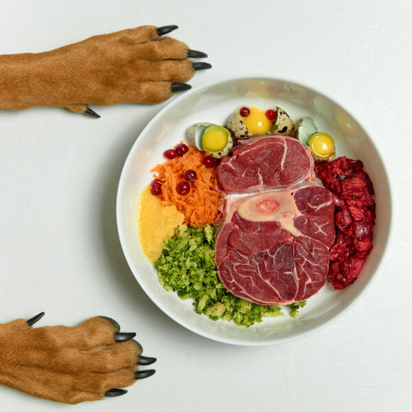 human-grade dog food