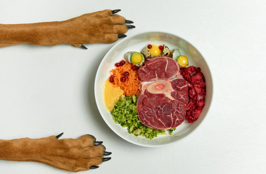 human-grade dog food