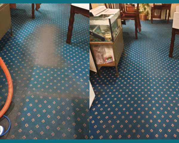 Carpet Cleaning Sunshine Coast