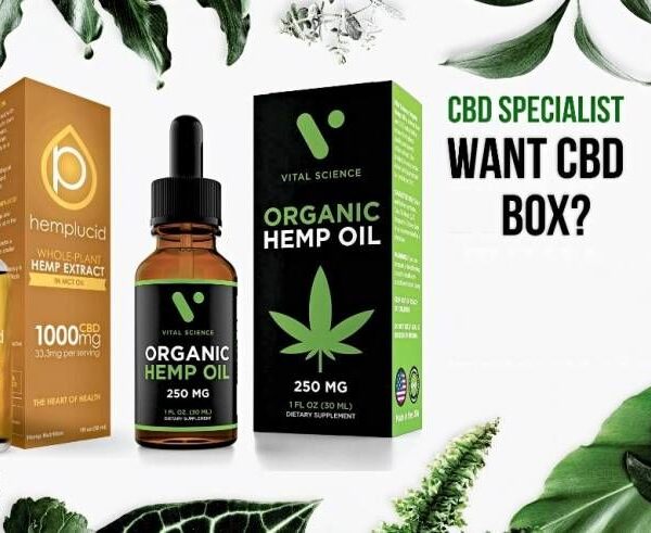 Custom-CBD-Boxes-At-Wholesale