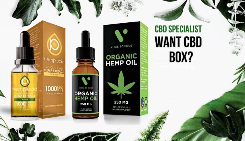 Custom-CBD-Boxes-At-Wholesale