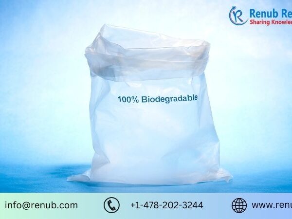 Biodegradable Plastic Market Share and Size Forecast Report 2024-2032