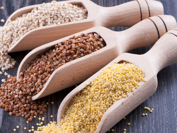 Global Millets Market Analysis and Growth Forecast Report 2024-2032