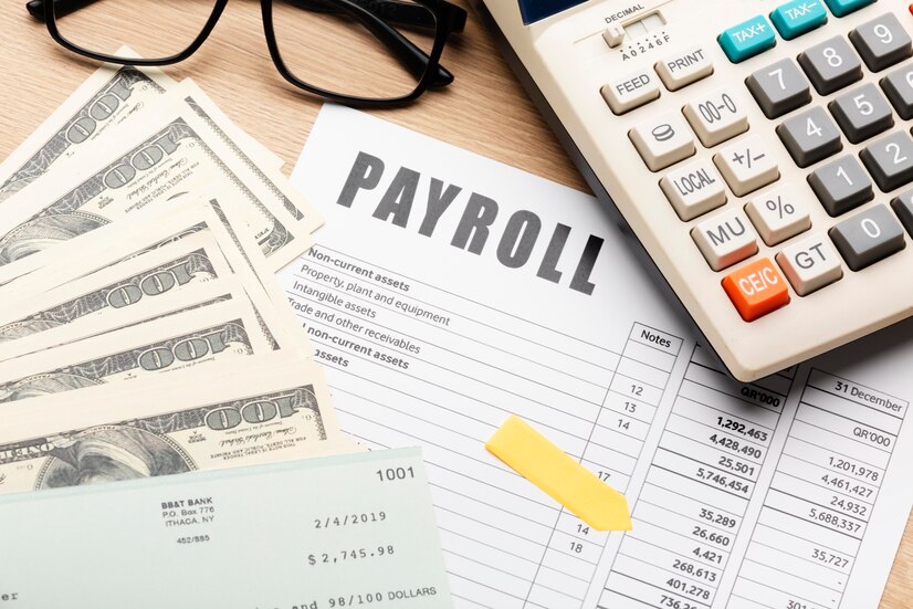 Payroll Management Software in Noida