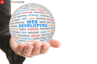 Web Development services Company usa