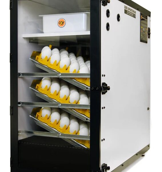 Best Egg Hatchers for Your Farm