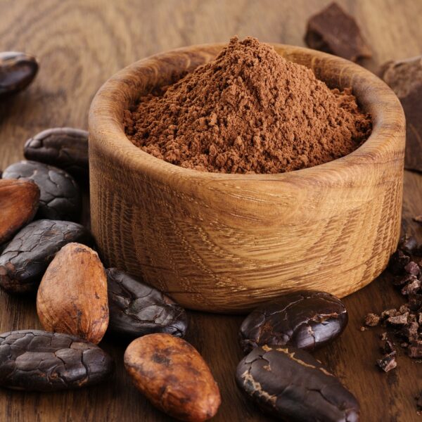 Cocoa Bean Processing Plant Report 2024- Detailed Project Cost and Setup Requirements