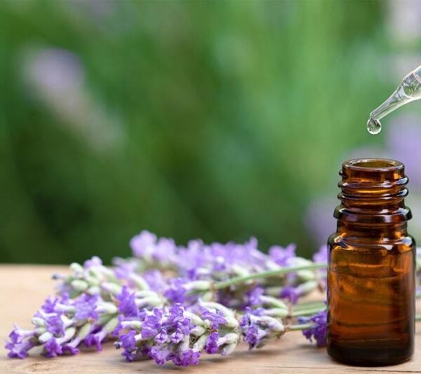 Establish an Essential Oil Manufacturing Plant: Cost Analysis and Operations