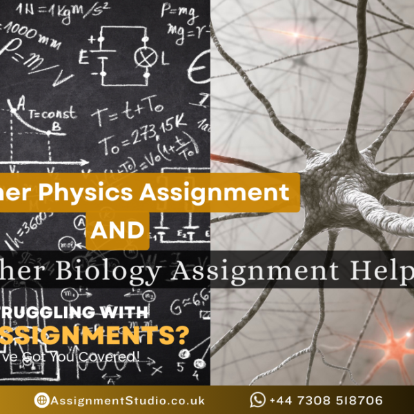 higher physics assignment