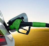 United States Biodiesel Market Size And Forecast Report 2024-2032