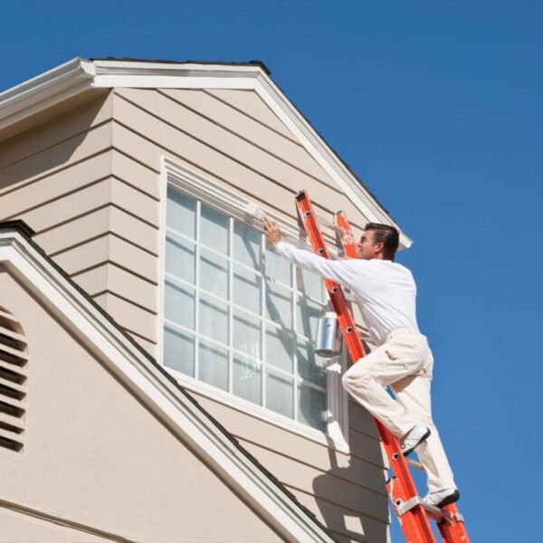 Exterior Painting Sydney: Transform Your Home with Color