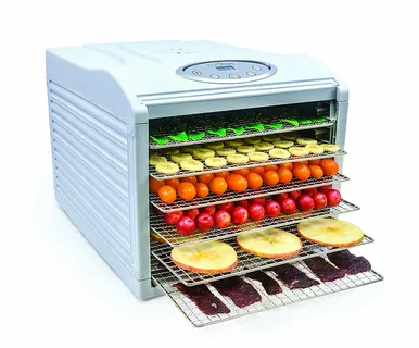 Best Food Dehydrator