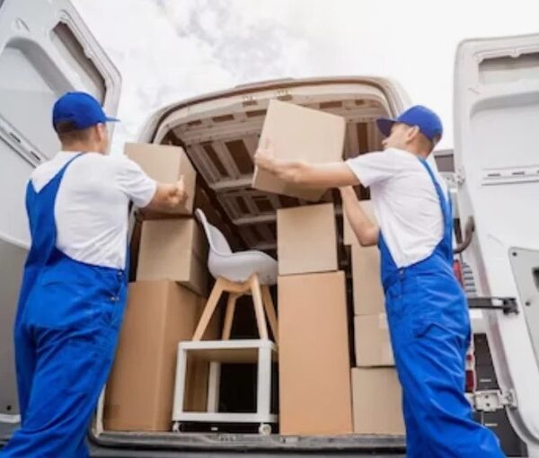 top-rated-removal-companies