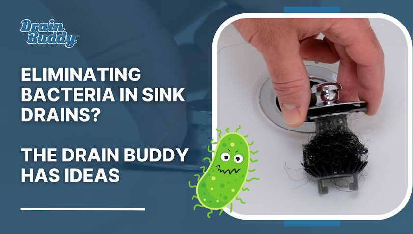 drain buddy sink stopper