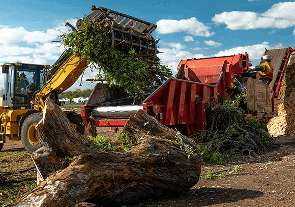 trimming, land clearing & brush New Hampshire