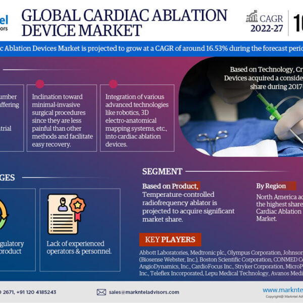 Cardiac Ablation Devices Market