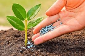 Specialty Fertilizer Market Analysis And Growth Forecast 2024-2030