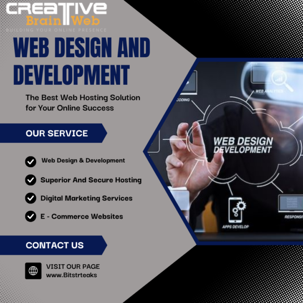 Web Design company in Faridabad