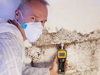 Mould Inspection Report Sydney